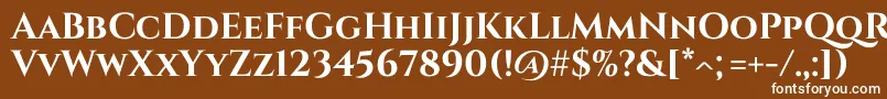 Czcionka Cinzel Bold – białe czcionki na brązowym tle