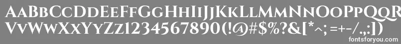 フォントCinzel Bold – 灰色の背景に白い文字