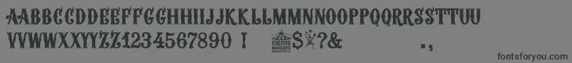 Circus Manerus-Schriftart – Schwarze Schriften auf grauem Hintergrund