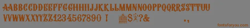 Circus Manerus-Schriftart – Braune Schriften auf grauem Hintergrund