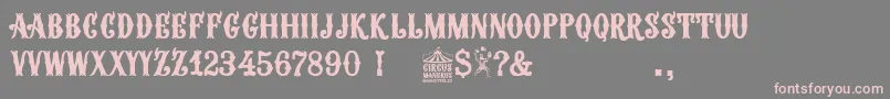 Circus Manerus Font – Pink Fonts on Gray Background