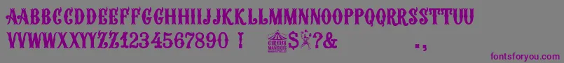 Czcionka Circus Manerus – fioletowe czcionki na szarym tle