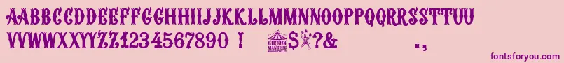 Circus Manerus-fontti – violetit fontit vaaleanpunaisella taustalla