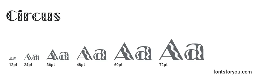 Размеры шрифта Circus (123497)