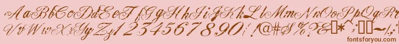 Civilian Font – Brown Fonts on Pink Background