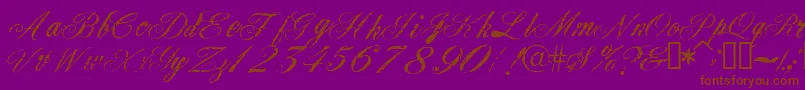 Civilian Font – Brown Fonts on Purple Background