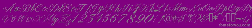 Civilian Font – Gray Fonts on Purple Background