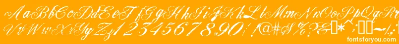 Civilian-Schriftart – Weiße Schriften auf orangefarbenem Hintergrund