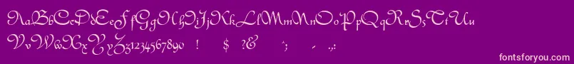 civitype Font – Pink Fonts on Purple Background