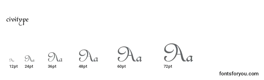 Размеры шрифта Civitype (123508)
