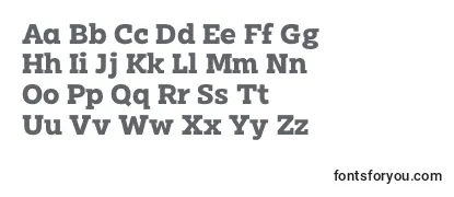 Clab Personal Use Bold Font