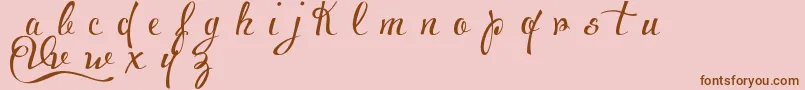VoluptateDemo Font – Brown Fonts on Pink Background