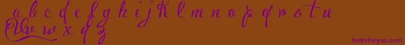 VoluptateDemo Font – Purple Fonts on Brown Background