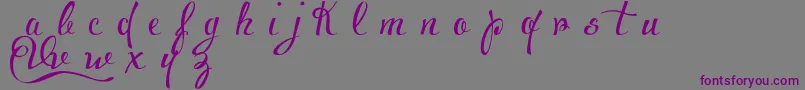 VoluptateDemo Font – Purple Fonts on Gray Background