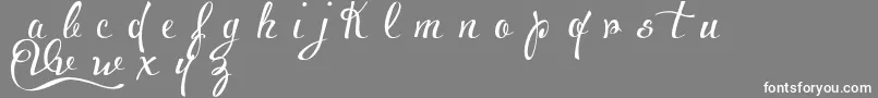 フォントVoluptateDemo – 灰色の背景に白い文字