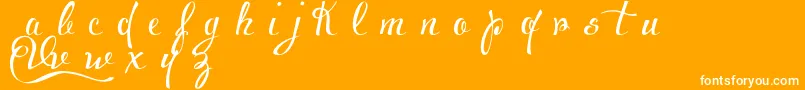 VoluptateDemo Font – White Fonts on Orange Background