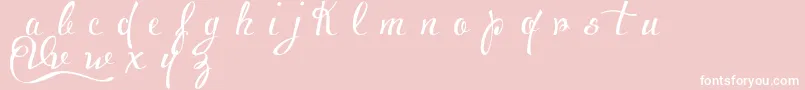 VoluptateDemo Font – White Fonts on Pink Background