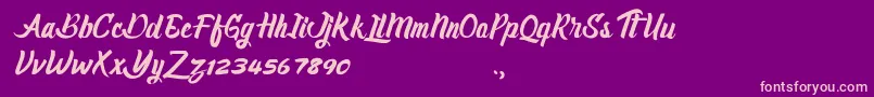 Claiborne-Schriftart – Rosa Schriften auf violettem Hintergrund