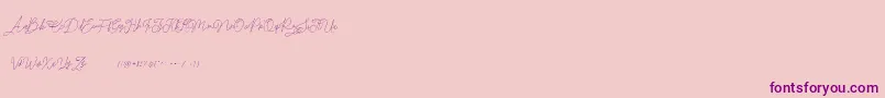 Claire for personal use Font – Purple Fonts on Pink Background