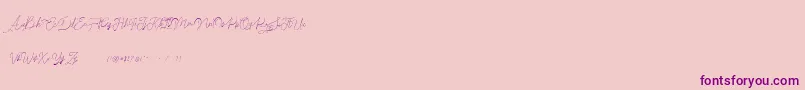 Claire for personal use Font – Purple Fonts on Pink Background