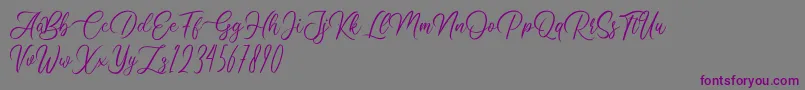 Шрифт Clarissa – фиолетовые шрифты на сером фоне