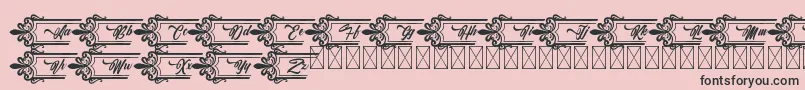 Clasicalderibbon Font – Black Fonts on Pink Background