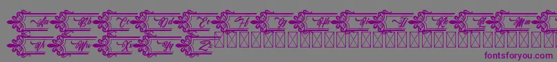 フォントClasicalderibbon – 紫色のフォント、灰色の背景