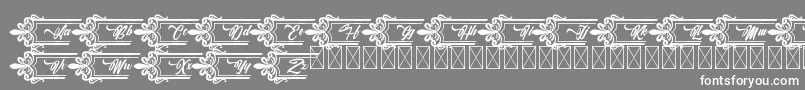 fuente Clasicalderibbon – Fuentes Blancas Sobre Fondo Gris