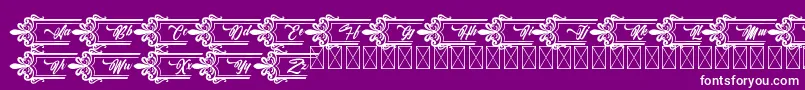 Clasicalderibbon Font – White Fonts on Purple Background