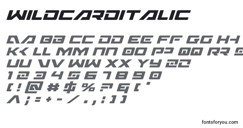 A fonte WildcardItalic – alfabeto, números, caracteres especiais