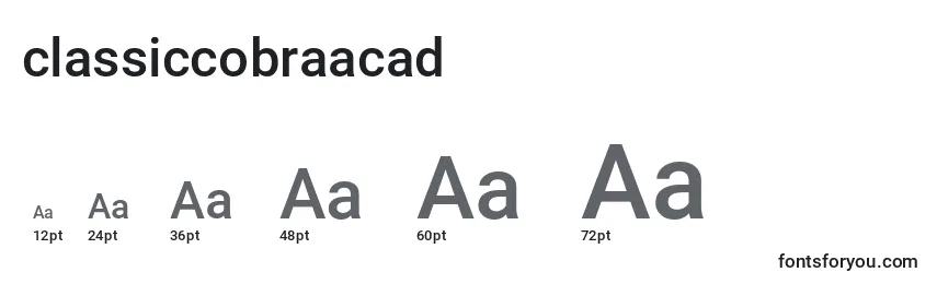 Размеры шрифта Classiccobraacad (123545)