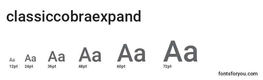 Размеры шрифта Classiccobraexpand (123553)