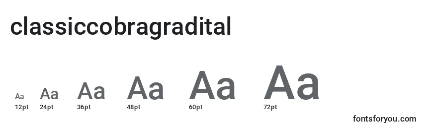 Größen der Schriftart Classiccobragradital (123556)