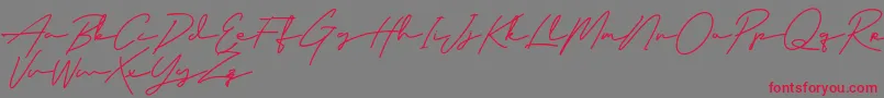 ClassyBeautiful Font – Red Fonts on Gray Background