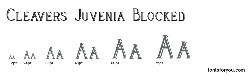 Rozmiary czcionki Cleavers Juvenia Blocked (123591)