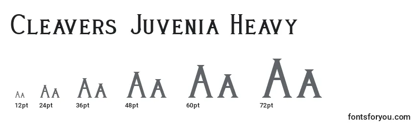 Rozmiary czcionki Cleavers Juvenia Heavy (123592)