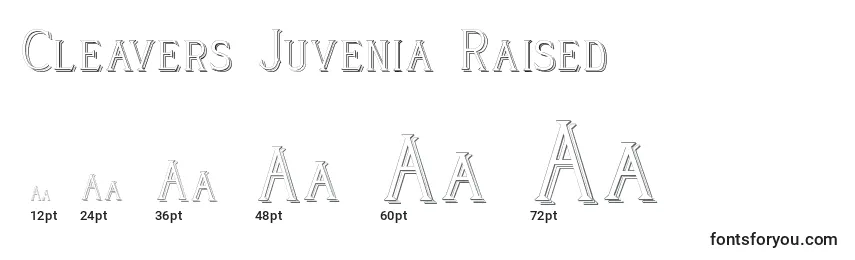 Cleavers Juvenia Raised (123593) Font Sizes