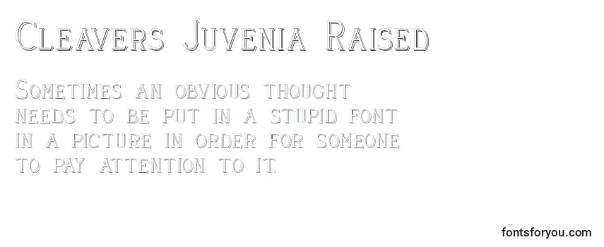 Обзор шрифта Cleavers Juvenia Raised (123593)