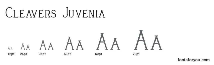 Размеры шрифта Cleavers Juvenia