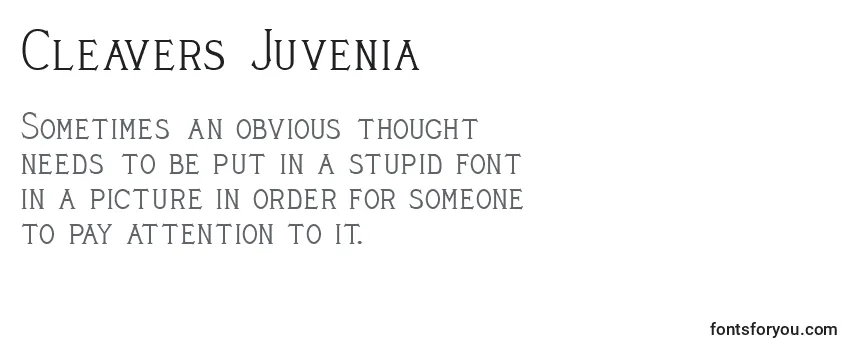 Review of the Cleavers Juvenia Font