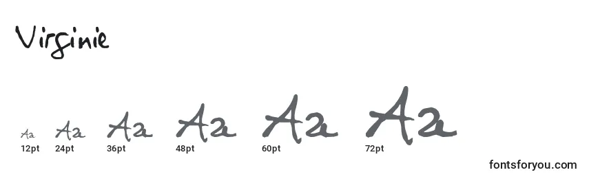 Размеры шрифта Virginie