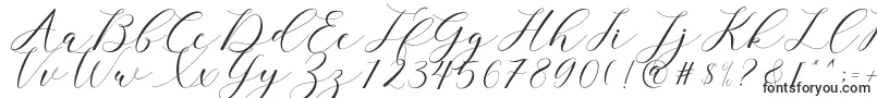 clover Font – Fonts for business cards