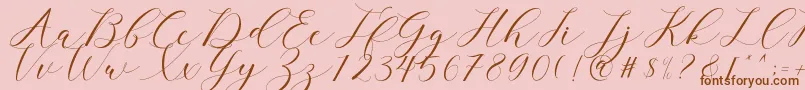clover Font – Brown Fonts on Pink Background