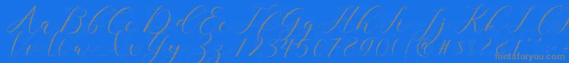 clover Font – Gray Fonts on Blue Background