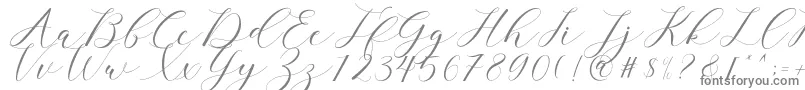 clover Font – Gray Fonts on White Background