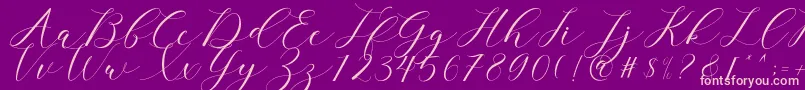 clover Font – Pink Fonts on Purple Background