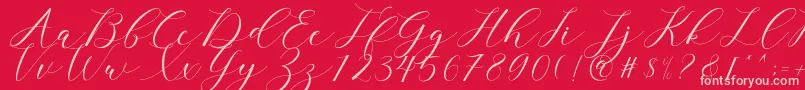 clover-Schriftart – Rosa Schriften auf rotem Hintergrund