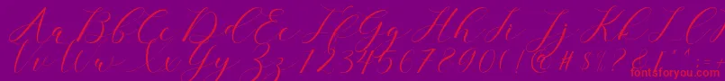 clover Font – Red Fonts on Purple Background