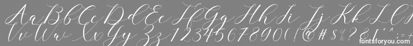 clover Font – White Fonts on Gray Background