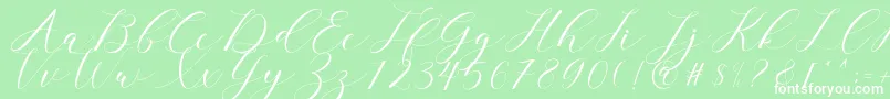 フォントclover – 緑の背景に白い文字